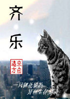 齊樂小說封面