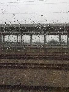 穿越70年代,我在东北飒疯了